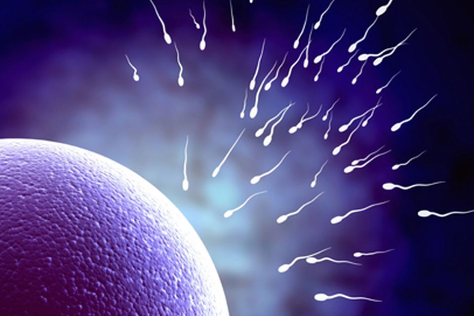 Fertility Treatments (IVF) treatment arranged abroad by Akabir Health